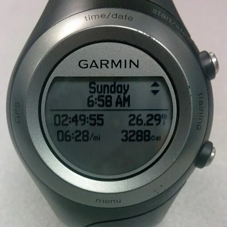 Garmin Forerunner 405, 2008 год