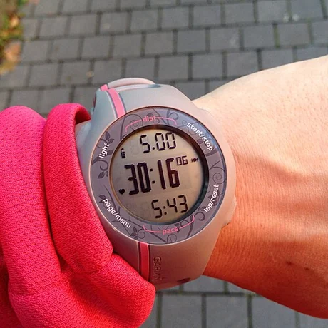 Garmin Forerunner 110 / 210, 2010 год