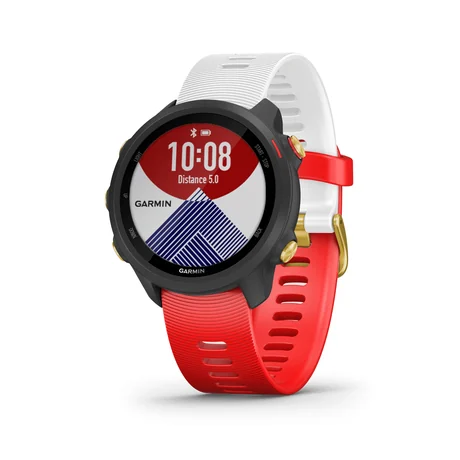 Garmin Forerunner 245 / 245 Music, 2019 год