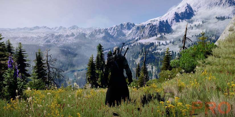 Геральт смотрит на горную долину — кадр из игры The Witcher 3