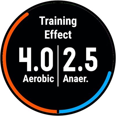 Что показывает Training Effect