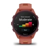Garmin Forerunner 170 Music Red Pink (010-03920-13)