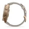 Garmin Fenix 9 Pro InReach 43mm Autumn Gold Titanium Bone Leather Band (010-04335-41)