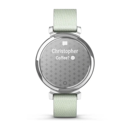 Garmin Lily 2 Silver (010-02839-15)